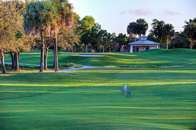 Okeeheelee Golf Course - photo 8