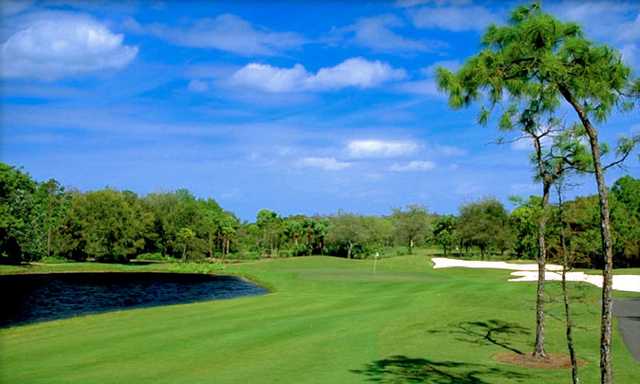 Pelican's Nest Golf Club - photo 3