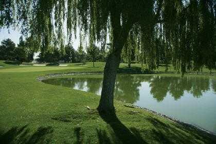 Spanish Trail Country Club - photo 5