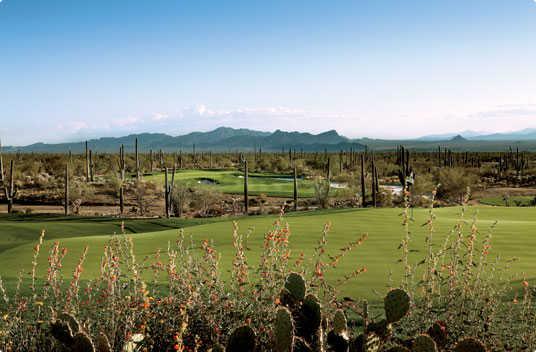 The Golf Club at Dove Mountain - photo 3