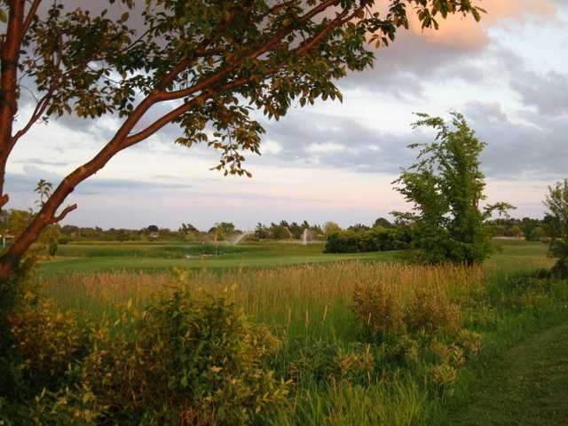 The Landings Golf Club - photo 2