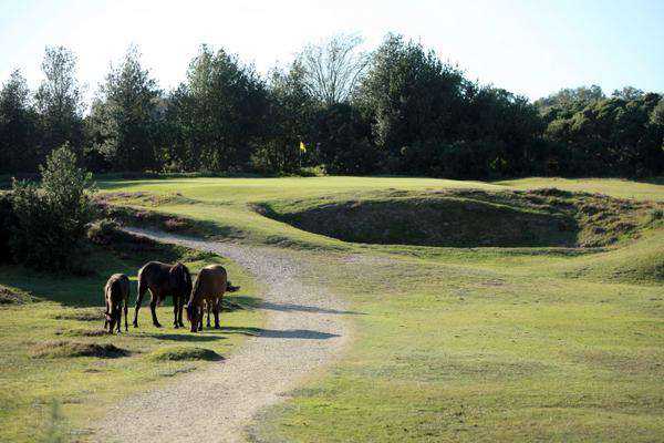 Burley Golf Club - photo 5