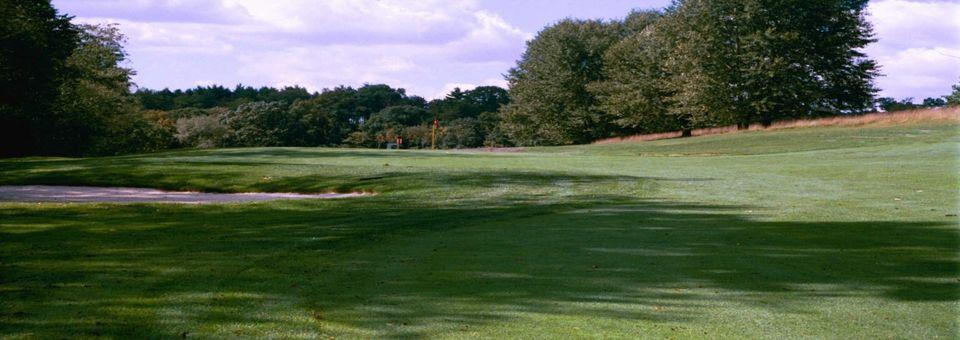 Meadowink Golf Course - photo 4