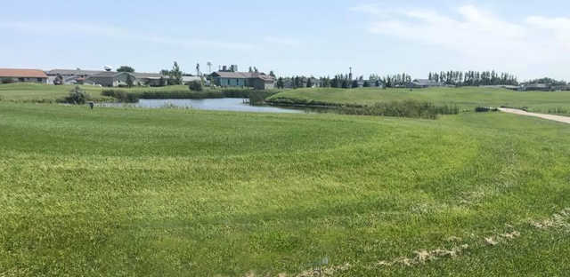 Springs - photo 1
