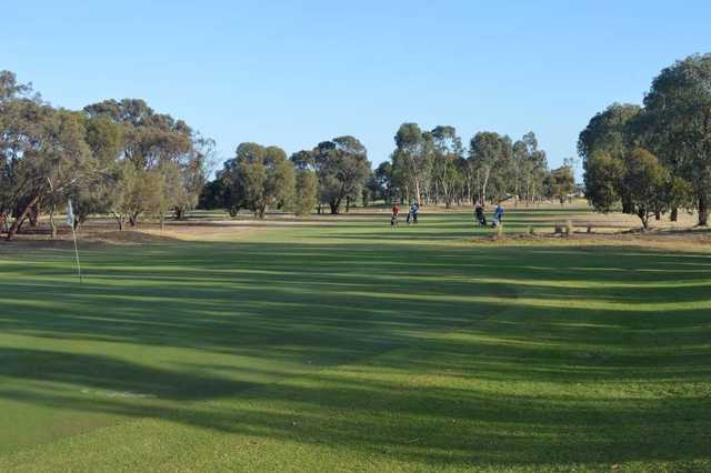 Mawson Lakes Golf Club - photo 3