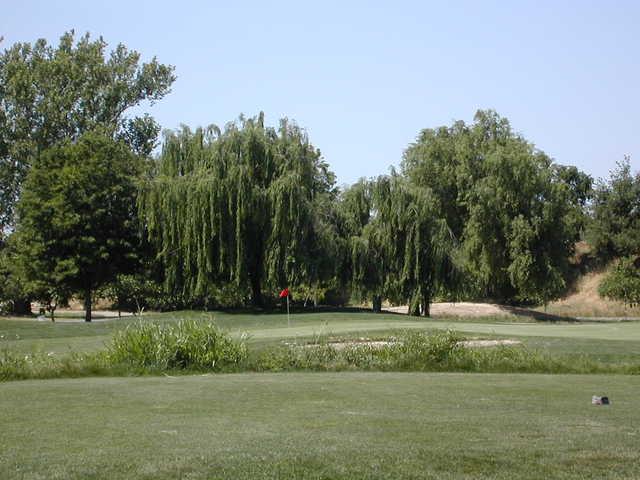 River Oaks Golf Club - photo 3