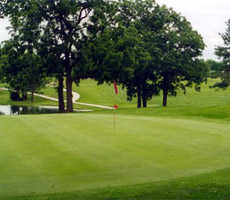 L.A. Nickell Golf Course - photo 6