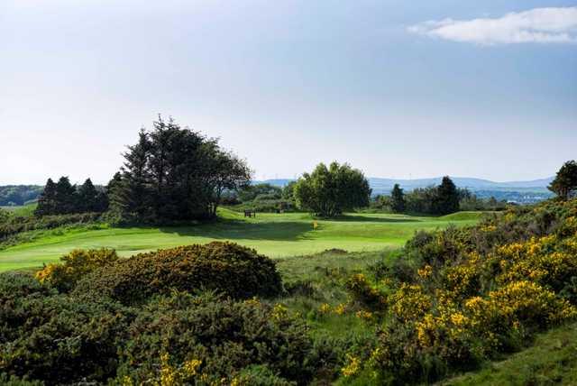 Irvine Golf Club - photo 5
