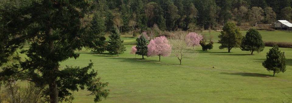 Pender Island Golf & Country Club - photo 4