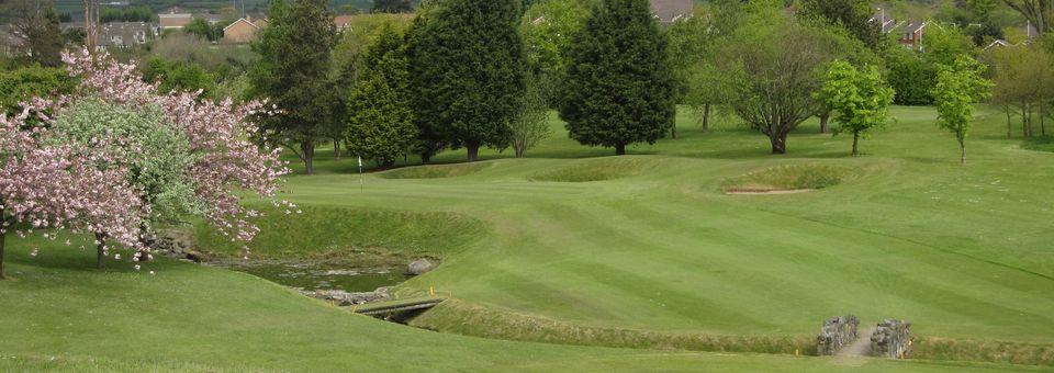 Carrick Golf Club - photo 3