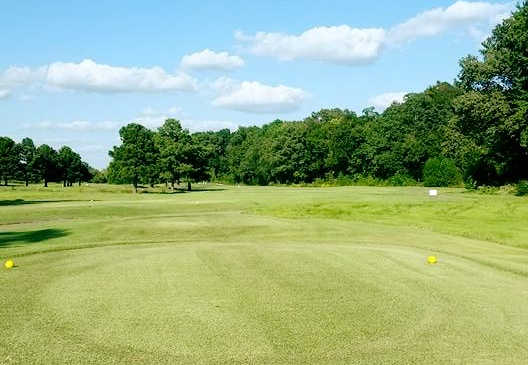 Timber Truss Golf Course - photo 7