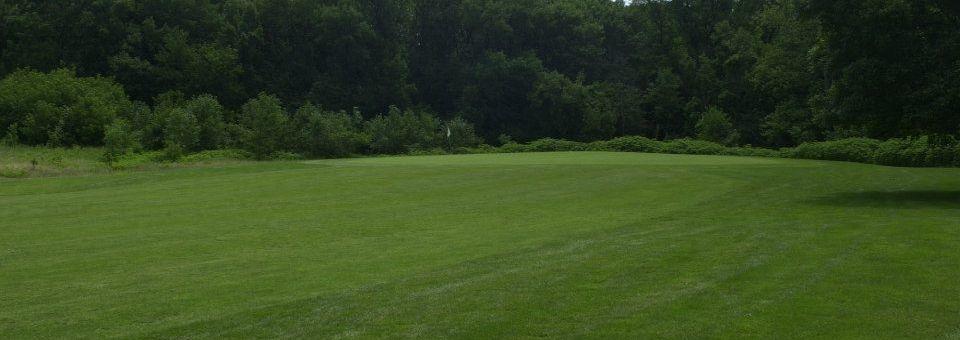 Billy Caldwell Golf Course - photo 3