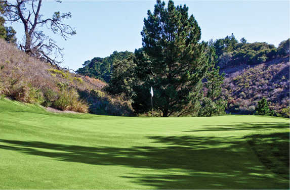 Tehama Golf Club - photo 4