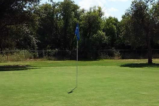 The Greens - photo 3