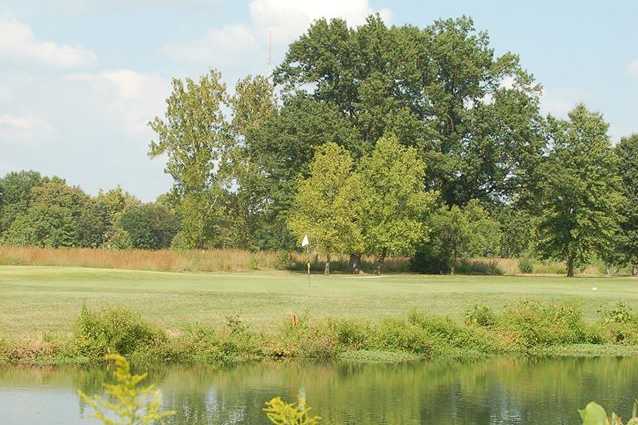 Forest Park Golf Course - photo 3