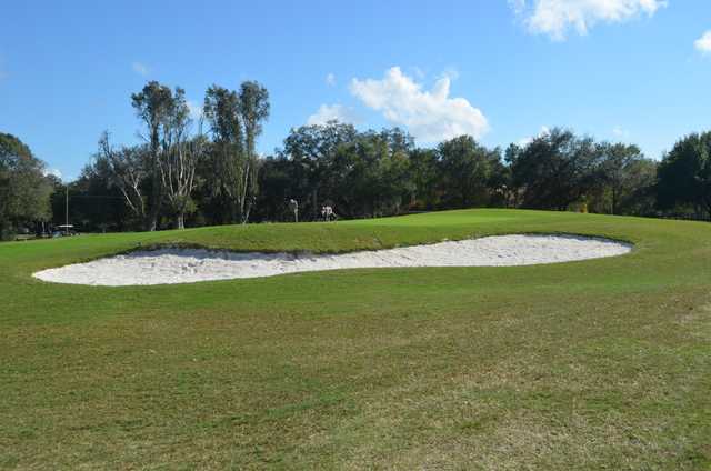 Babe Zaharias Golf Course Tampa - photo 2