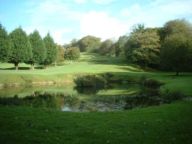Elfordleigh Hotel, Golf & Country Club - photo 3