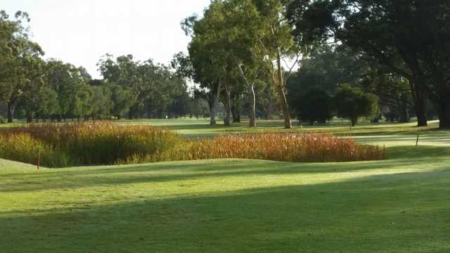 Pinjarra Golf Club - photo 2