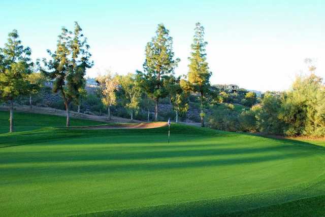 Desert Canyon Golf Club - photo 6