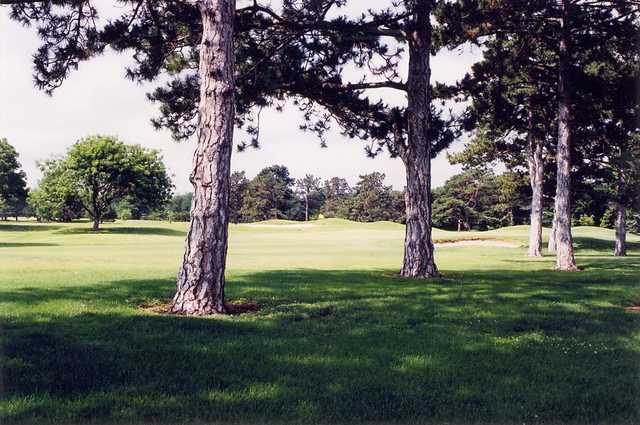 Sim Park Golf Course - photo 3