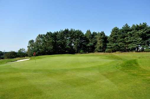 Knighton Heath Golf Club - photo 2