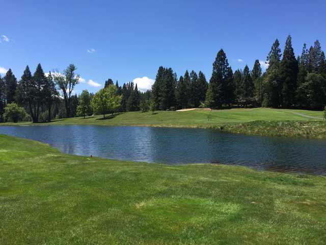 Sequoia Woods Country Club - photo 3