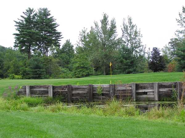 Blue Shamrock Golf Club - photo 5