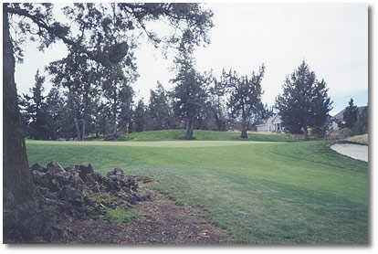 The Greens at Redmond Golf Course - photo 6