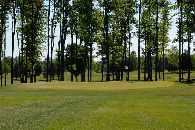 Gladwin Heights Golf Course - photo 3