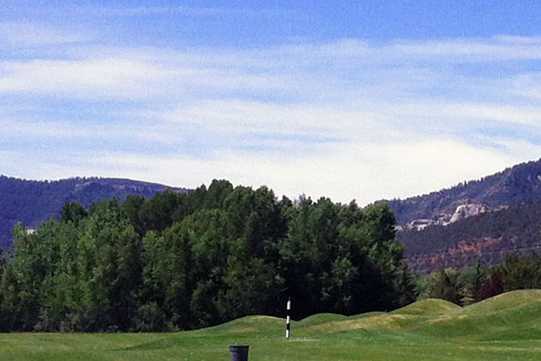 Dalton Ranch & Golf Club - photo 4