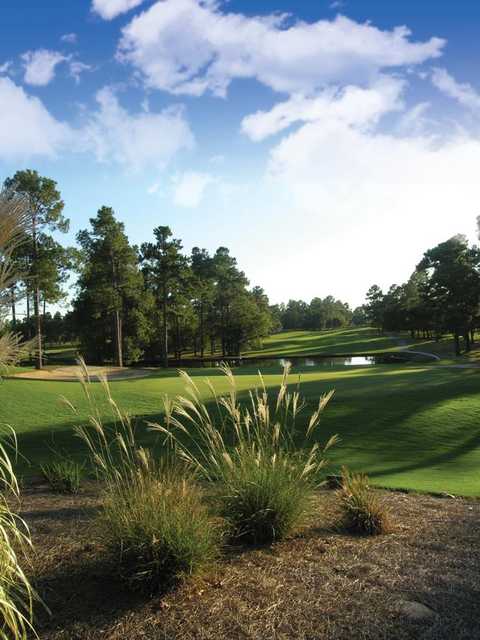 Lake Marion Golf Club - photo 2