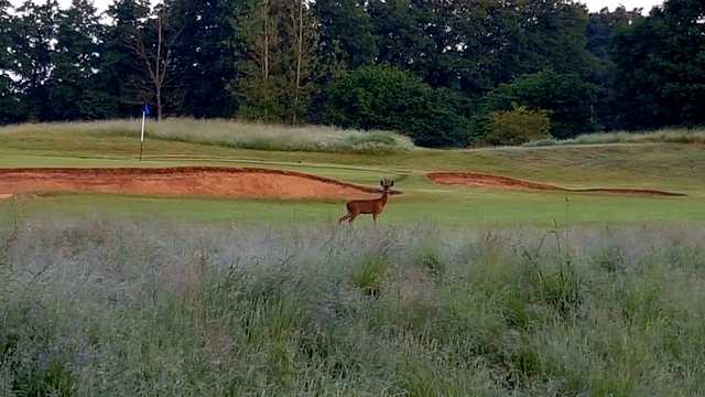 Hurtmore Golf Club - photo 6