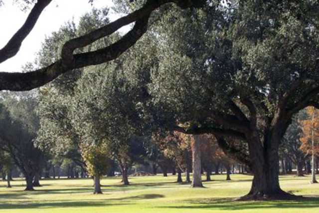 Southern Oaks