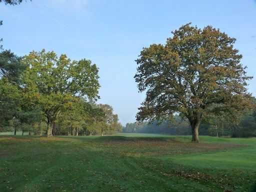 Thetford Golf Club - photo 4