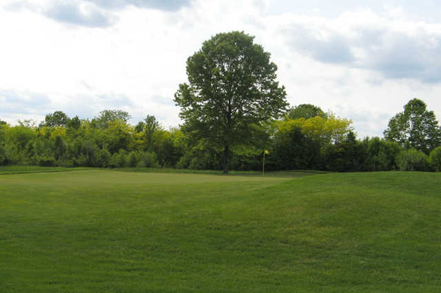 Charleston Springs Golf Course - photo 3