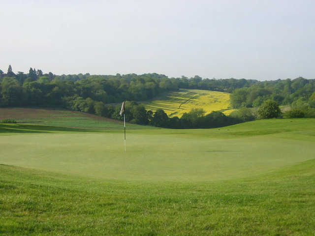 Surrey Downs Golf Club - photo 3