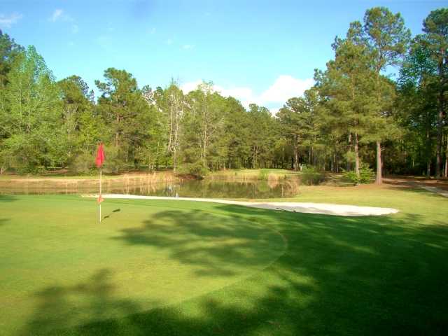 Swamp Fox Golf Club - photo 1