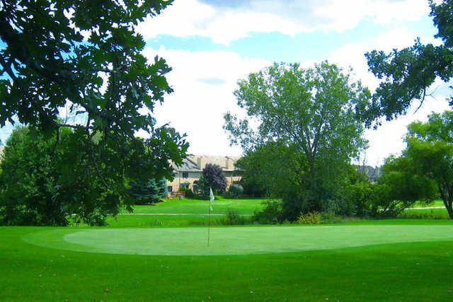 Carriage Greens Country Club - photo 2