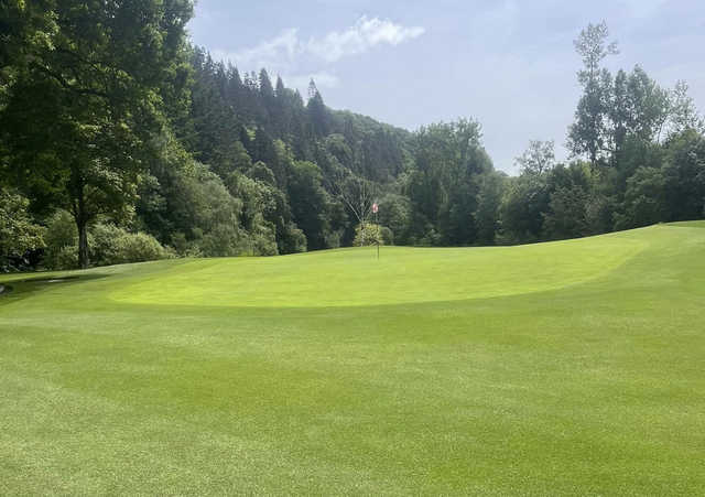 Woodenbridge