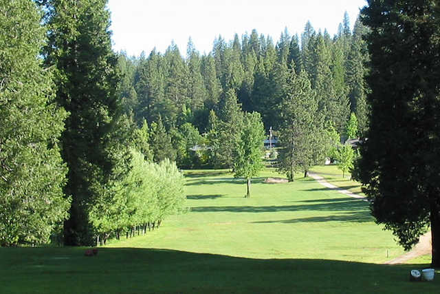 Mace Meadow Golf Course - photo 4