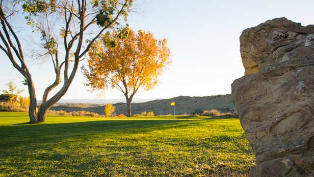 The Powell Golf Club - photo 4