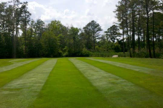 Marsh Island Golf Club - photo 2