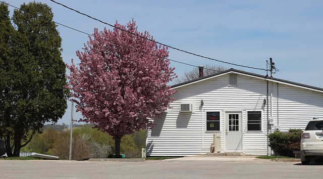 Little Bear Recreation Club - photo 2