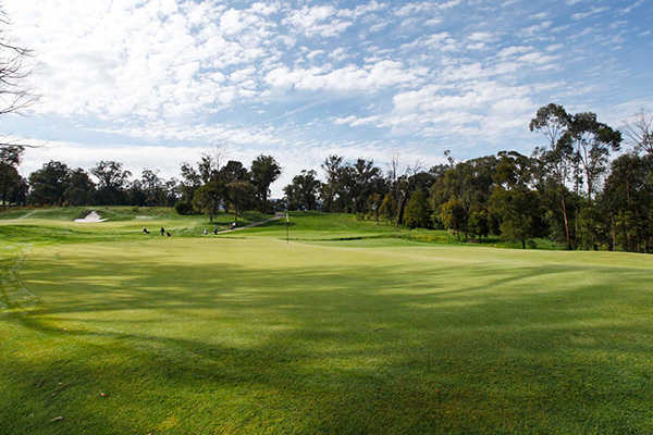 RACV Healesville Country Club - photo 3