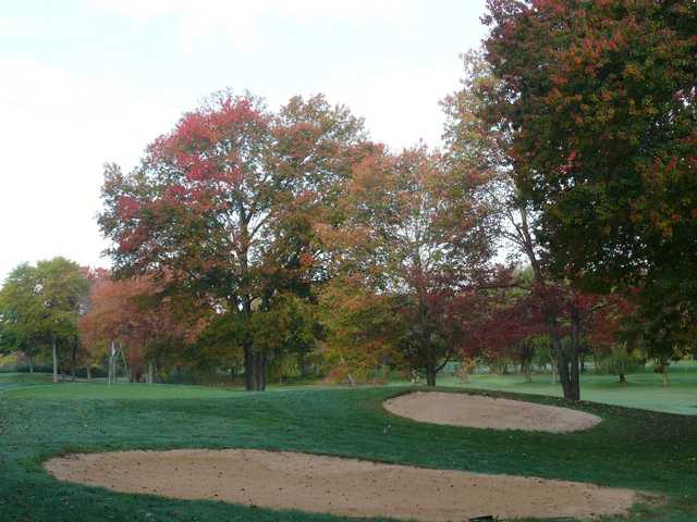Meadowbrook