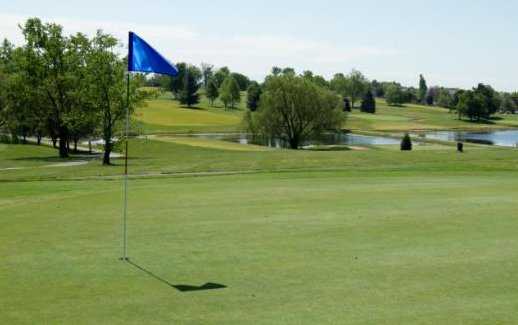 Lone Oak - photo 5