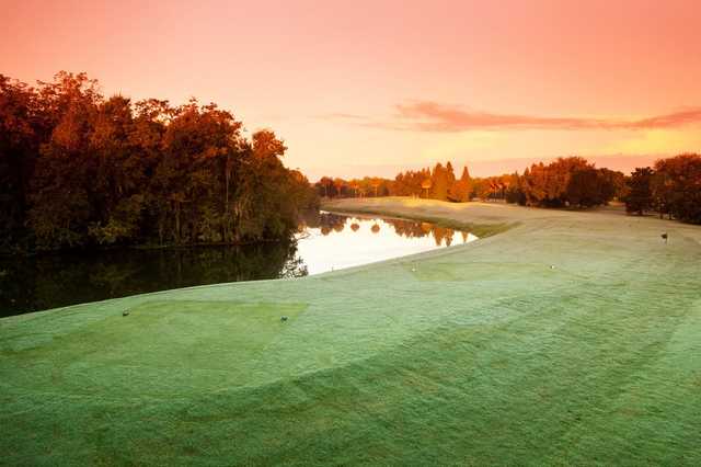 Lone Palm Golf Club - photo 3