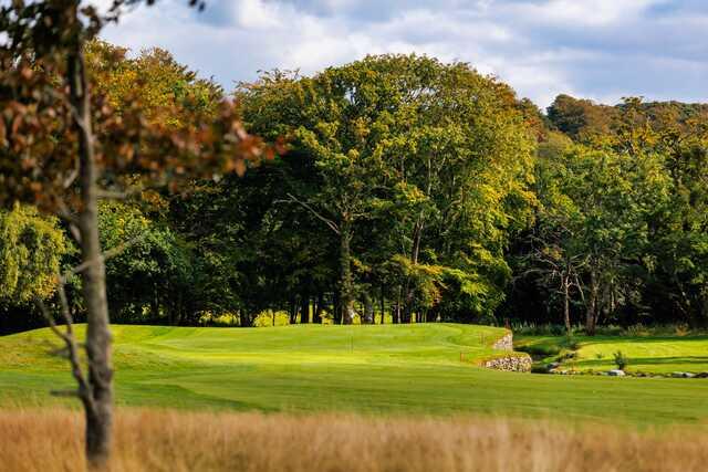 Killarney Golf & Fishing Club - Killeen Course - photo 5