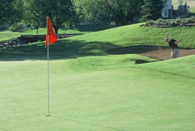 Ptarmigan Golf Course - photo 3