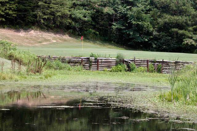 Mountain View Golf Course - photo 5